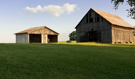 Storage Shed